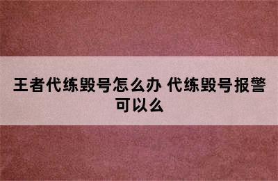 王者代练毁号怎么办 代练毁号报警可以么